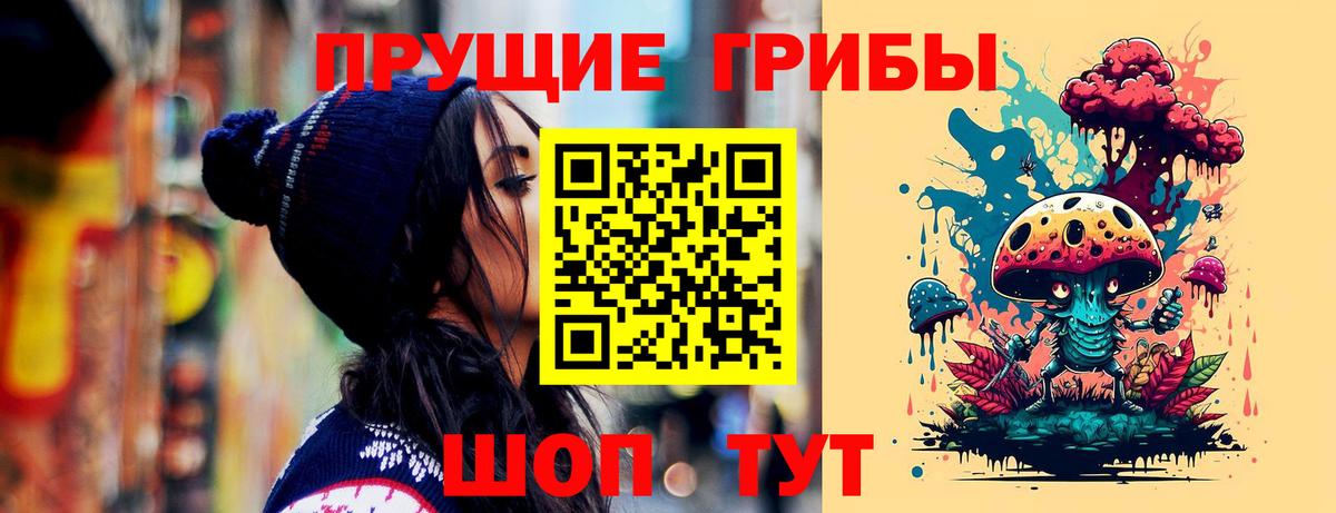 Галлюциногенные грибы прущие грибы  Псилоцибиновые грибы Cubensis  Вход с VPN  Черняховск 